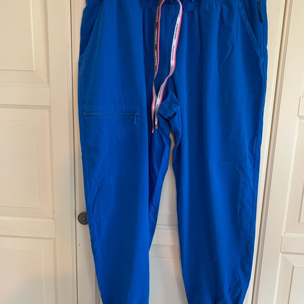 Woman’s Royal Blue Scrub Pants size PL